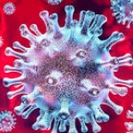 Główny Inspektor Sanitarny