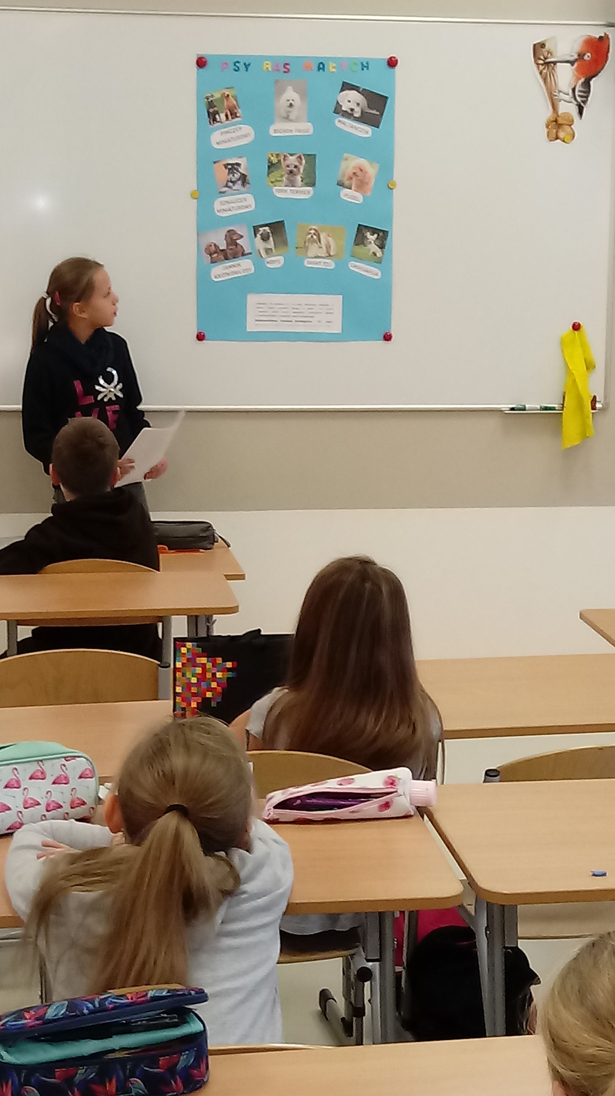 Mała wolontariuszka